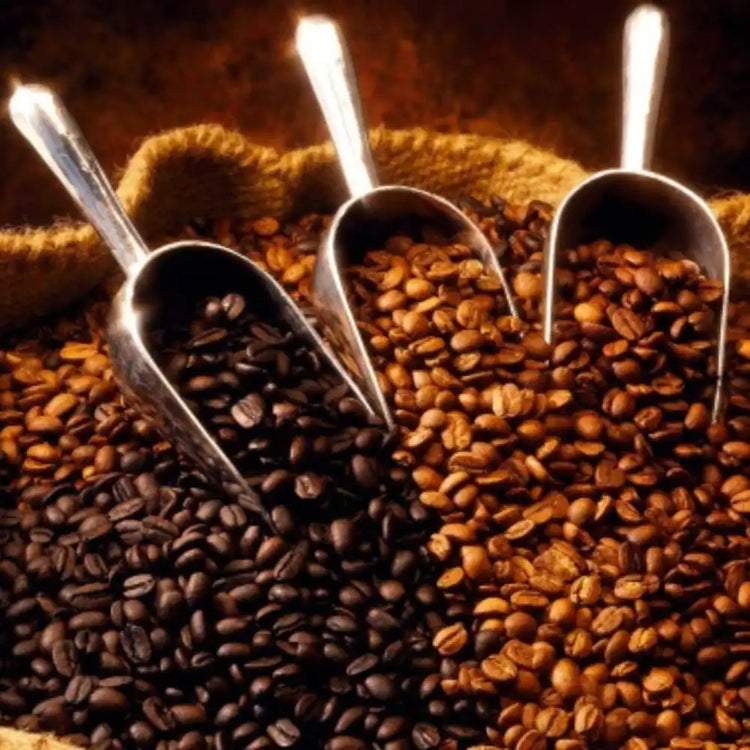 Signature Roasts
