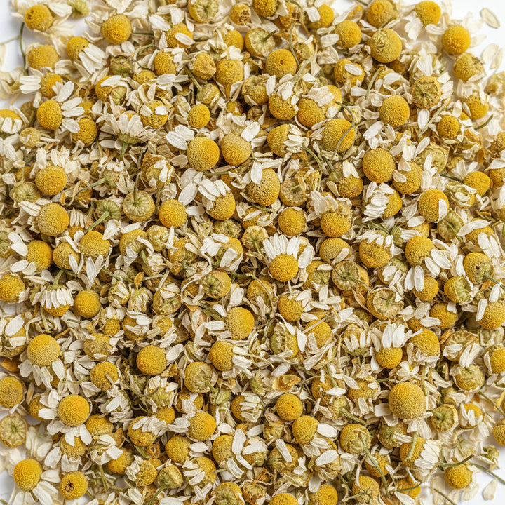 Ember & Olive Coffee Co.® Premium Tea – Chamomile Herbal Infusion | Solar Bloom