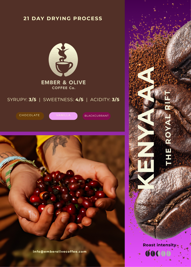Kenya AA Specialty Coffee Beans | The Royal Rift Medium Roast