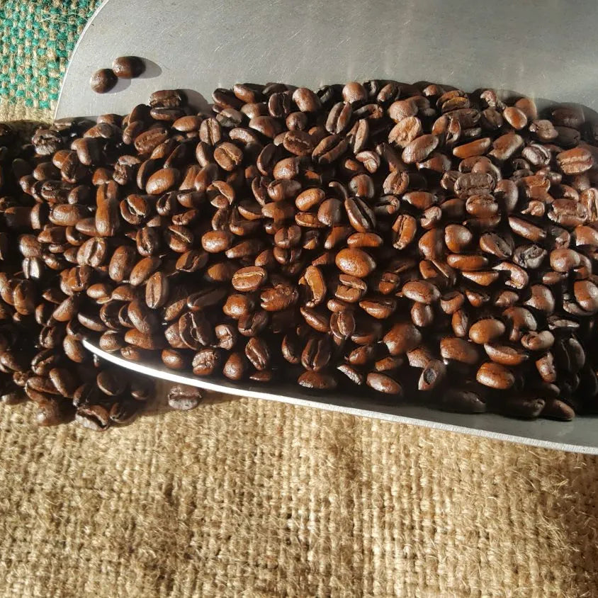 Ember & Olive Coffee Co.® Fresh Roasted Decaf Coffee Beans – Mexico Mountain Water | The Peak Whisper