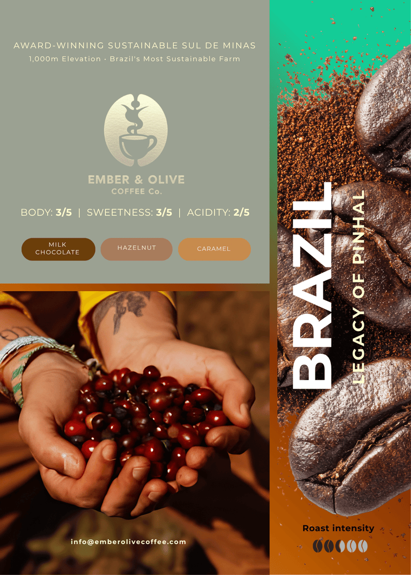 Brazil Specialty Coffee Beans | Legacy of Pinhal Single Origin