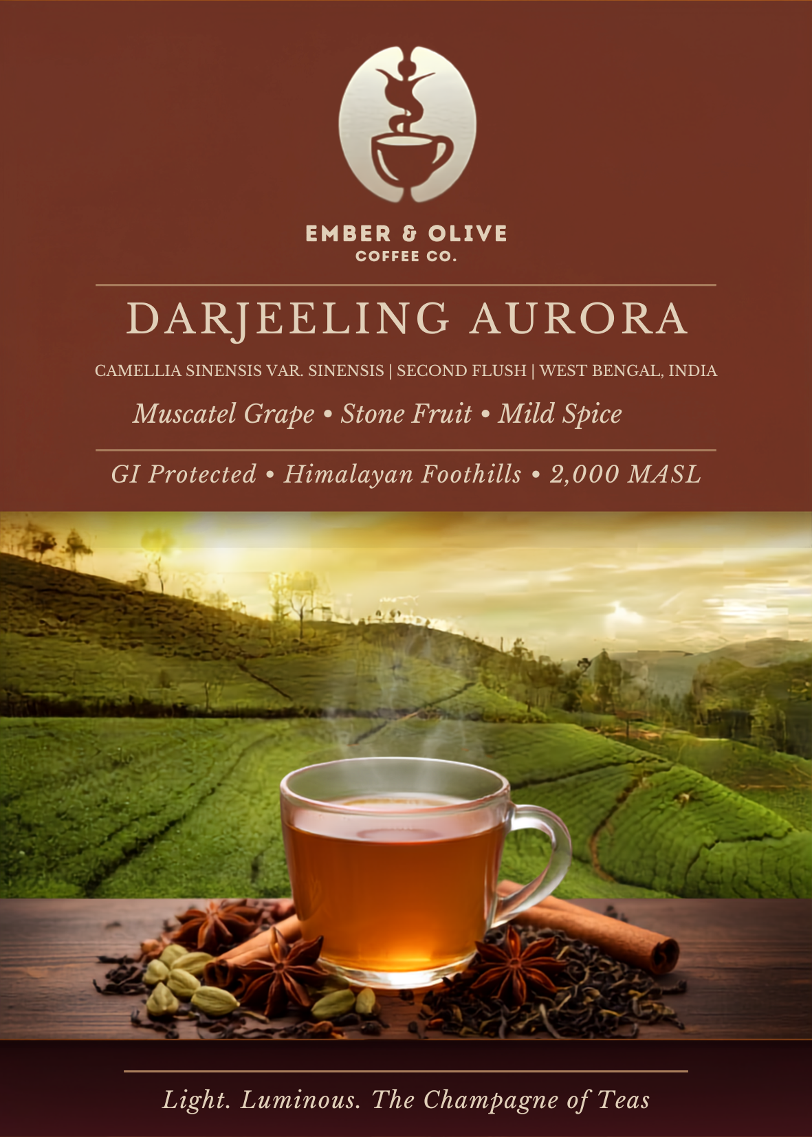 Darjeeling Aurora | Premium Second Flush Black Tea