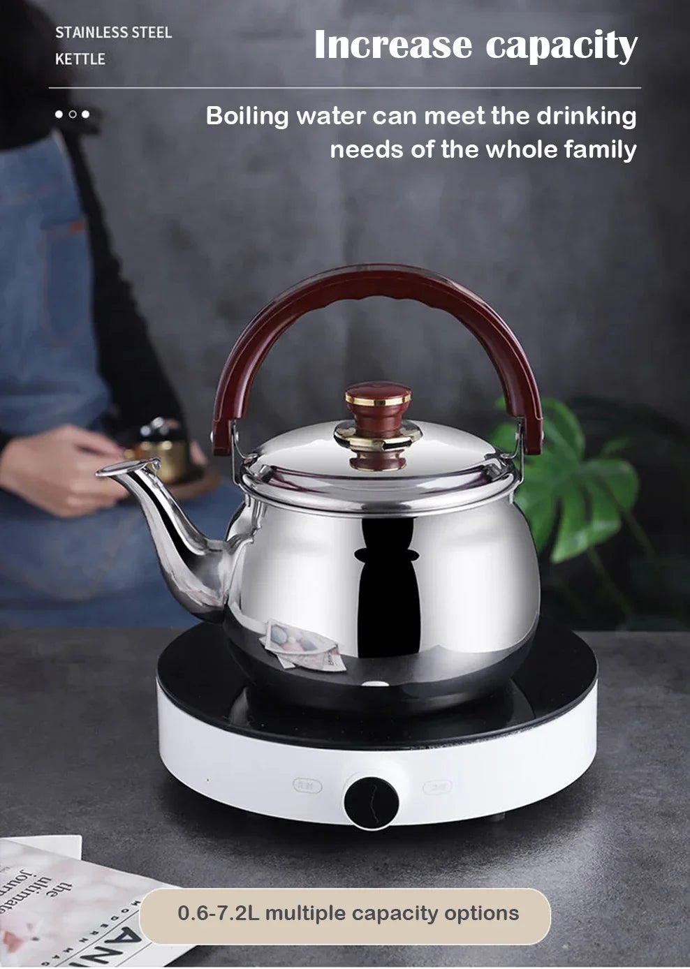 Stainless Steel Whistling Stovetop Kettle | Induction & Gas | 0.6L / 1L / 1.8L / 2.7L