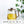 500ML Teapot