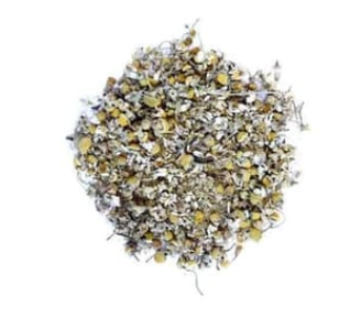 Chamomile | Solar Bloom
