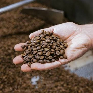 Ember & Olive Coffee Co.® Fresh Roasted Coffee Beans – Indonesia Lake Toba | The Volcanic Mirror